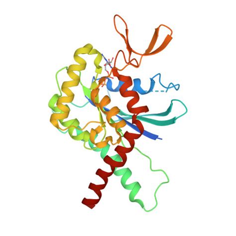 fngmql|RCSB PDB .